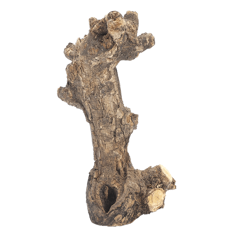 Vine tree natural - 1 Vine tree natural - 1