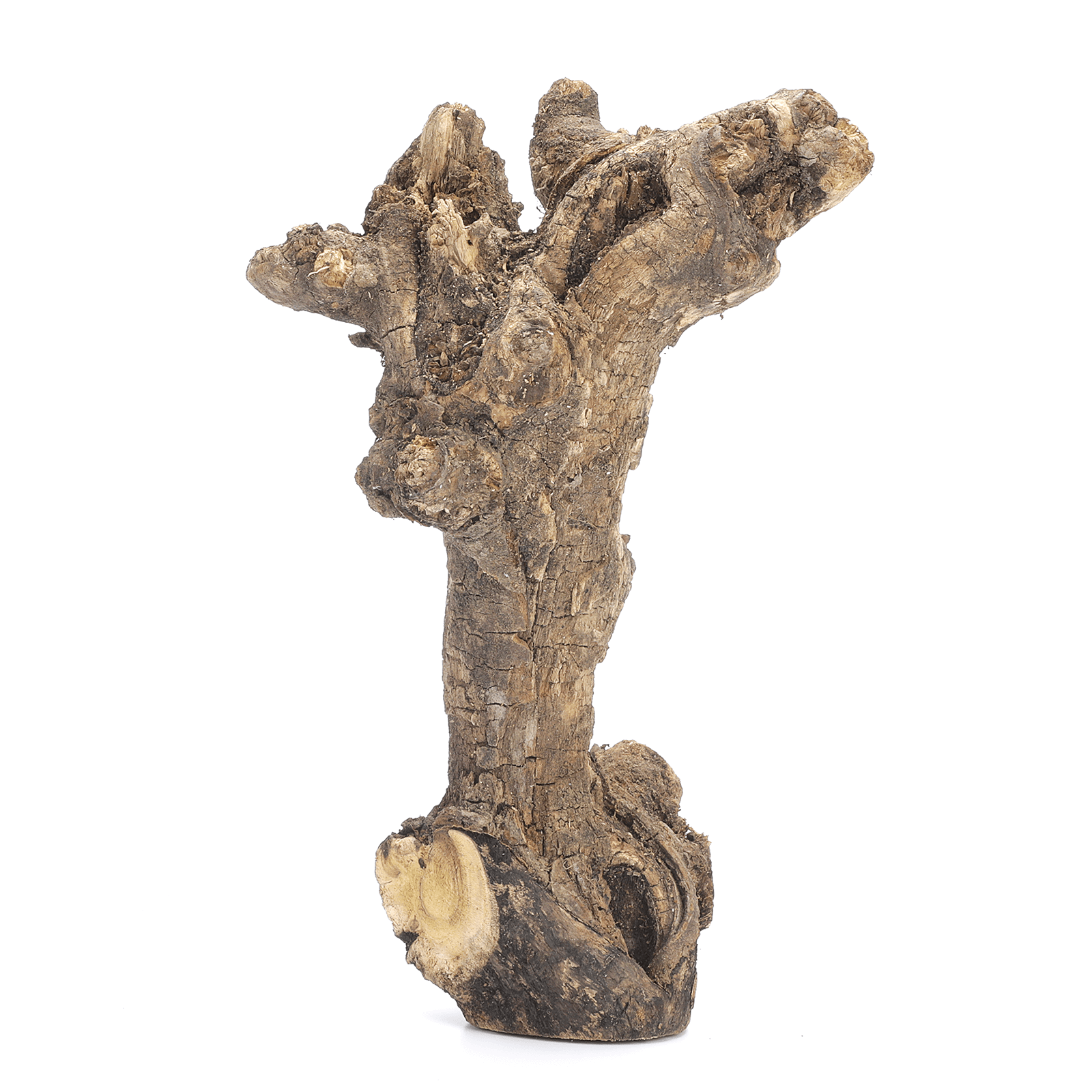 Vine tree natural - 2 Vine tree natural - 2