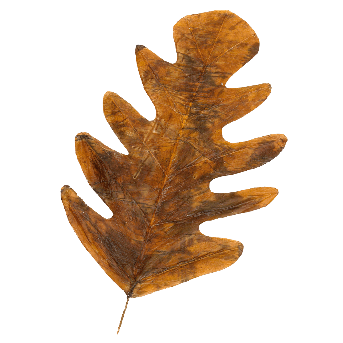 Decorative autumn leaves 80 cm, 3 pcs - 3