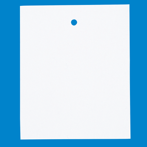 Karton-Etikett, 45 x 55 mm, 1000 Stück