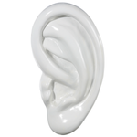 Deco-object giant ear, 70 cm long - 0