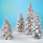 Winter Christmas tree, snowy luvi artificial with LED light, 210 cm - 2