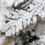 Beschneiter, künstlicher Tannenbaum Alpintanne mit LED 90 cm - 2