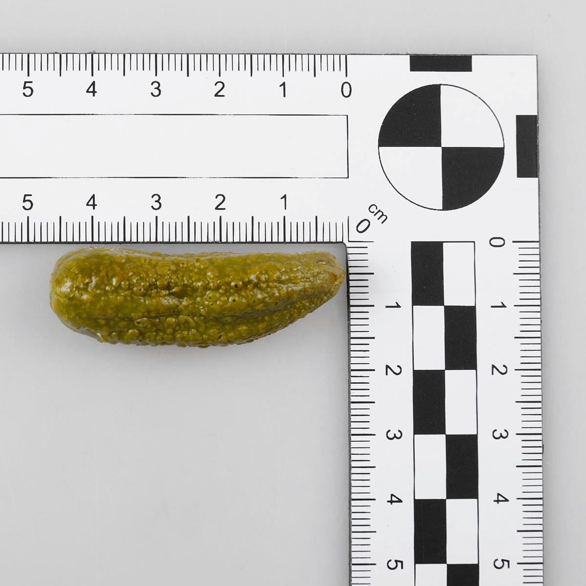 Mixed-Pickles Lebensmittel-Attrappe - 3 Mixed-Pickles Lebensmittel-Attrappe - 3