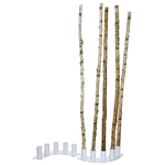 Decorative birch trunks 170 cm, 5 pcs - 2