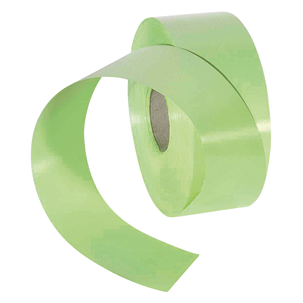 Poly ribbon, width 50 mm, light green