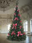 Giant Christmas tree "Majestic" height 670 cm - 1