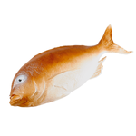 Perch food dummy 36 cm - 0