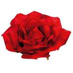 Fleur de rose XL artificielle, Ø 40 cm, rouge - 0