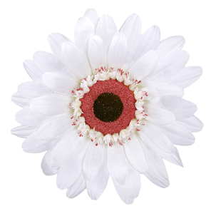 Flor de gerbera gigante artificial, blanco