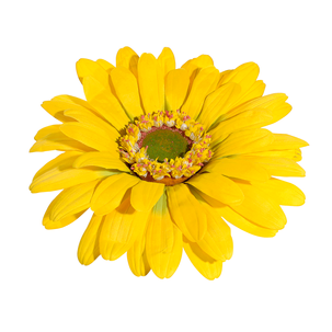 Artificial giant gerbera blossom, 45 cm, yellow