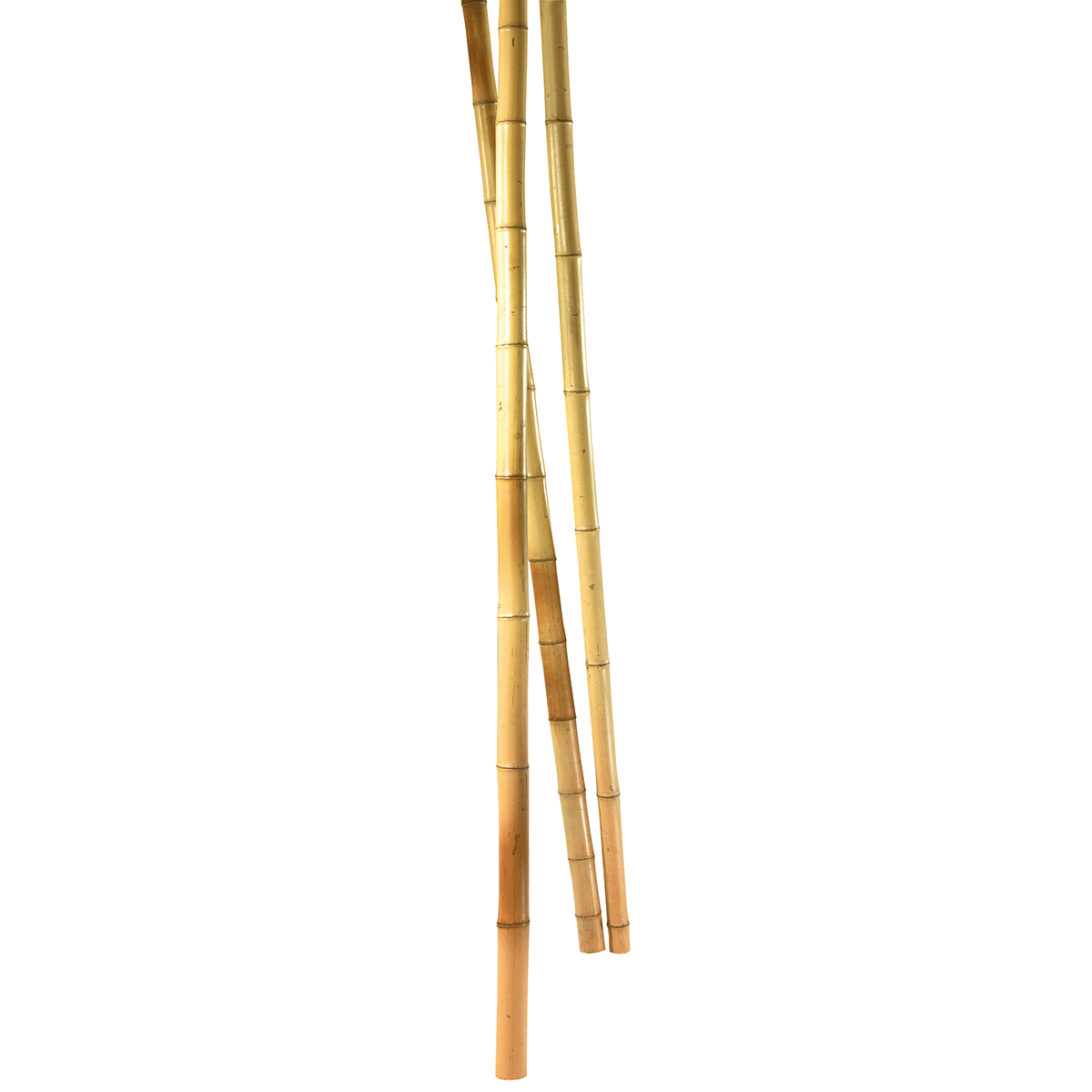 Tiges de bambou nature, 3 pces - 3