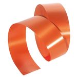 Polyamide ribbon, 50 mm, orange - 0