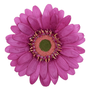 Giant Gerbera flower purple, 45 cm Ø