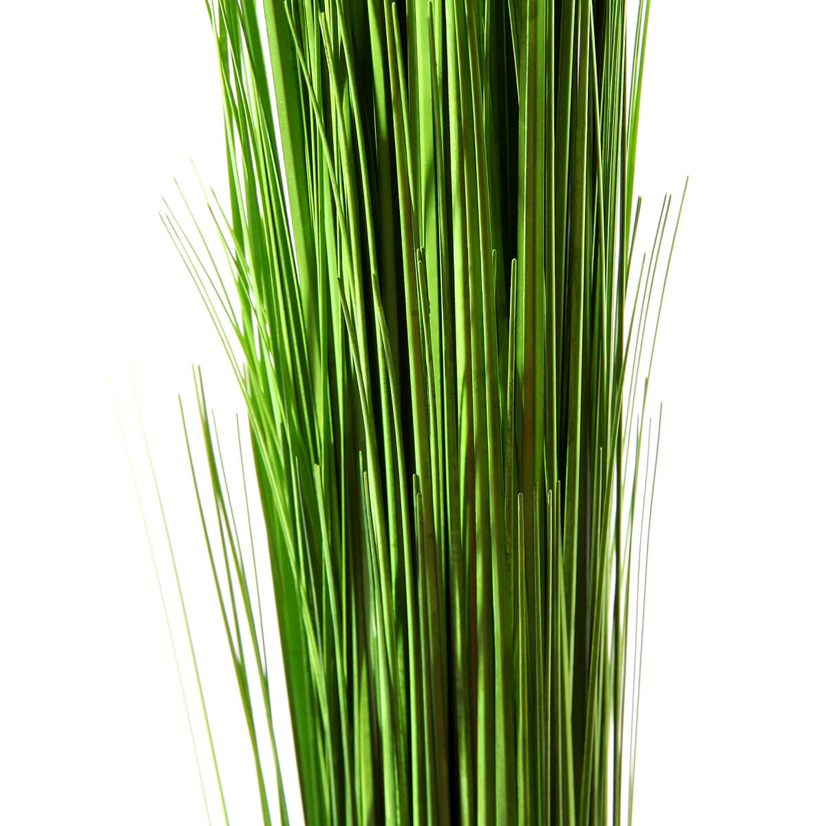 Dekogras-Bündel, 90 cm - 1 Dekogras-Bündel, 90 cm - 1