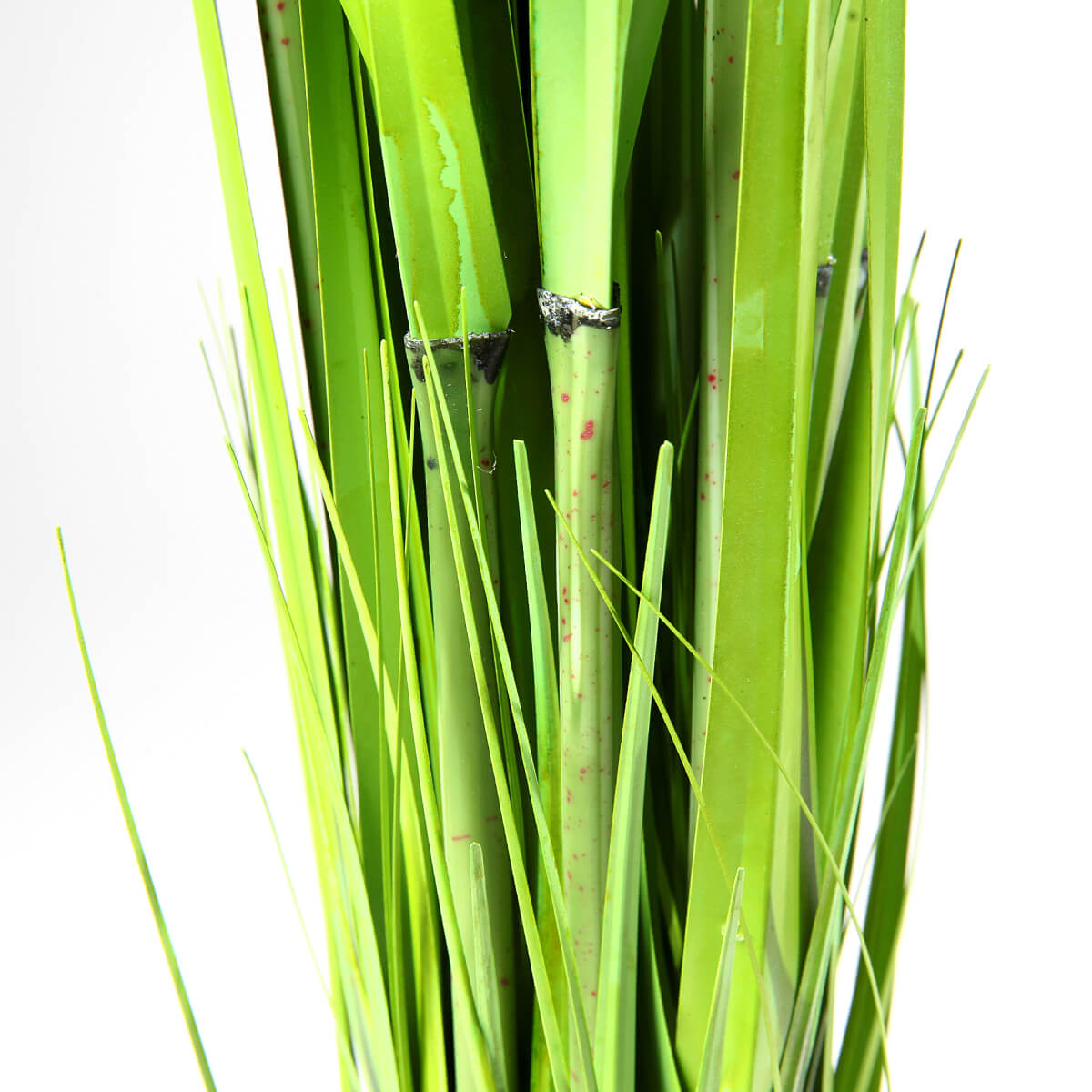 Carrizo decorativo 90 cm - 1 Carrizo decorativo 90 cm - 1