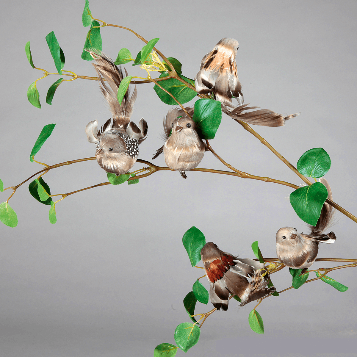 Deko Spatzen 17 cm, 6 Stück - 5