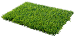 Decorative grass panel 60 x 40 cm - 1