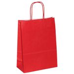 Carrying bag "Uni", 29 x 22 cm, red - 0