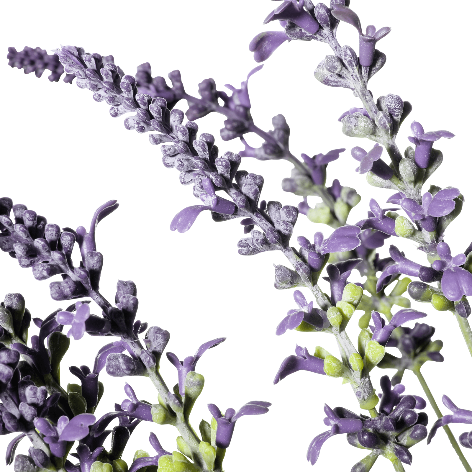 Manojo de hierba de lavanda Deco 55 x 25 cm (HxA) - 1 Manojo de hierba de lavanda Deco 55 x 25 cm (HxA) - 1