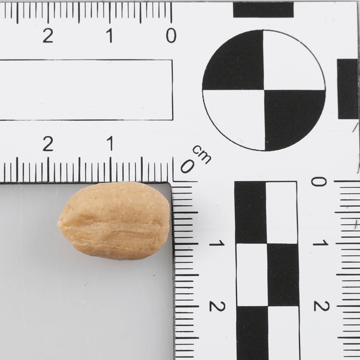 Geschälte Erdnüsse -Lebensmittel-Attrappen 50 g Beutel - 1