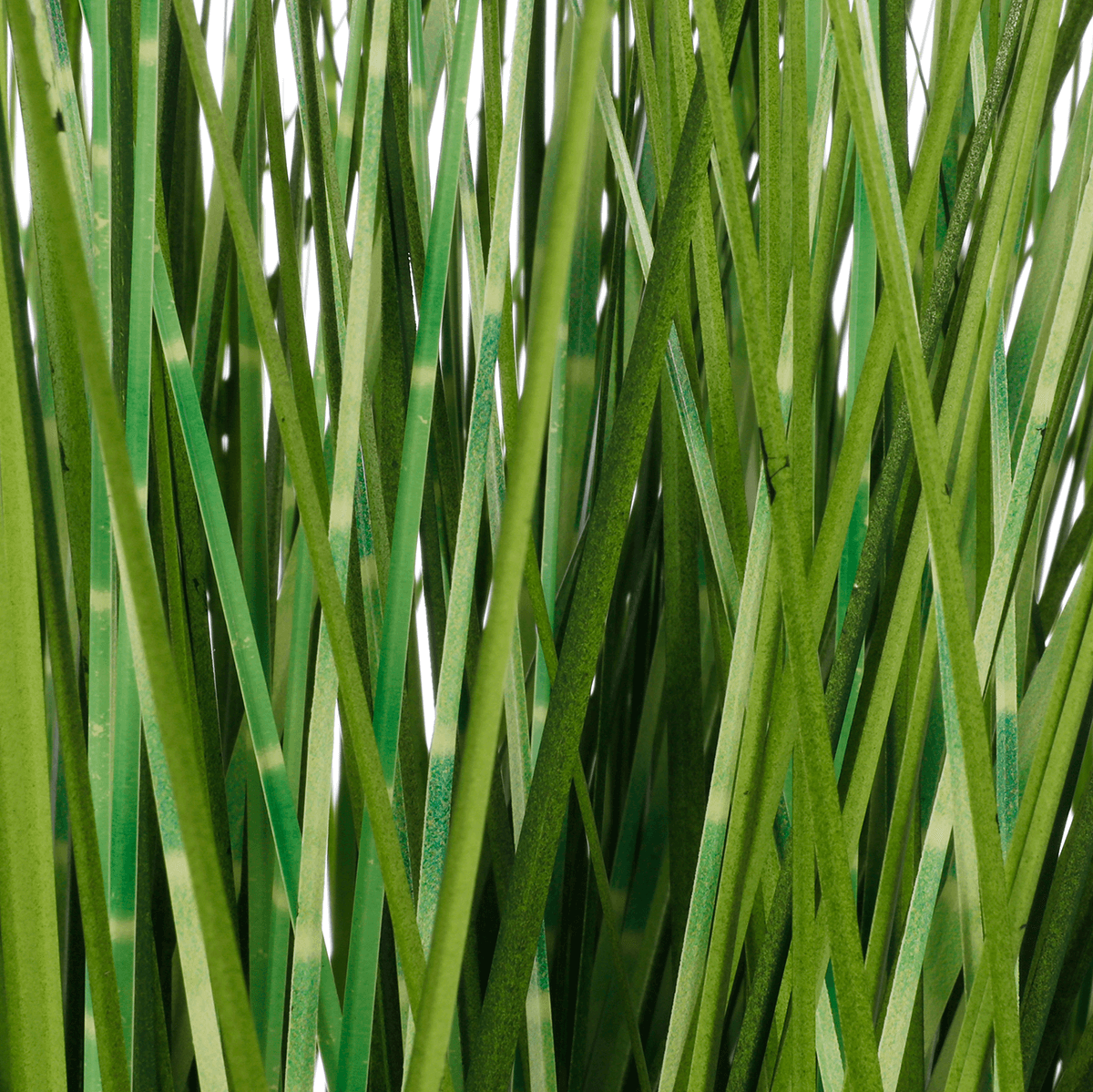 Herbe du tigre décorative XXL en pot blanc 120 cm - 3