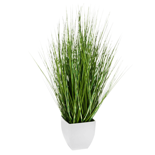 Deco zebra grass in white pot 78 cm