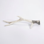 Deco deer antlers 32 x 9 x 19 cm white brown (L x W x H) - 1