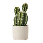 Plante de cactus artificielle en pot 23 cm - 0