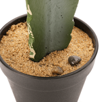 Cactus artificiel fraise en pot 35 cm - 2