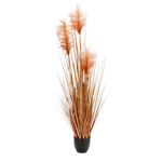 Orange Coloured Decorative Pampas Grass in Black Pot 117 cm  - 0
