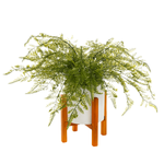 Artificial Fern in pot 40 cm  - 0