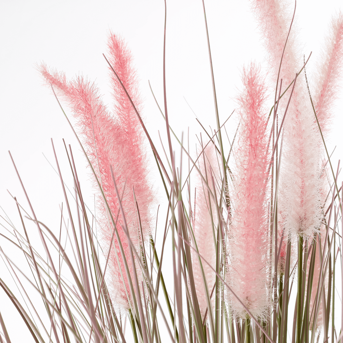 Feines Deko-Federborstengras in silber-rosa im edlen Zinktopf 70 cm - 2