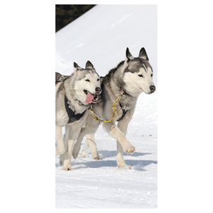 Flame retardant fabric banner "Racing Huskies" made of flag fabric 100 x 200 cm