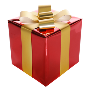 Cadeau de Noël 20 cm rouge avec ruban doré