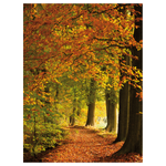 Flame retardant fabric banner "Autumn Forest" made of flag fabric - 0