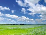 XXL-Planenbanner "Wiese und Wolkenhimmel" aus schwer entflammbarer LKW-Plane - 0