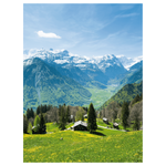 Schwer entflammbarer XL-Banner "Alpenwiese mit Alm" - 0