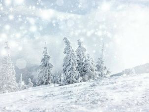 XXL-Planenbanner "Schneelandschaft" aus schwer entflammbarer LKW-Plane