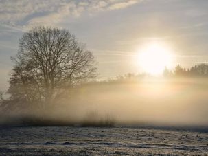 Bâche XXL "Brouillard d&#039;hiver" banderole grand format en bâche camion ignifugée