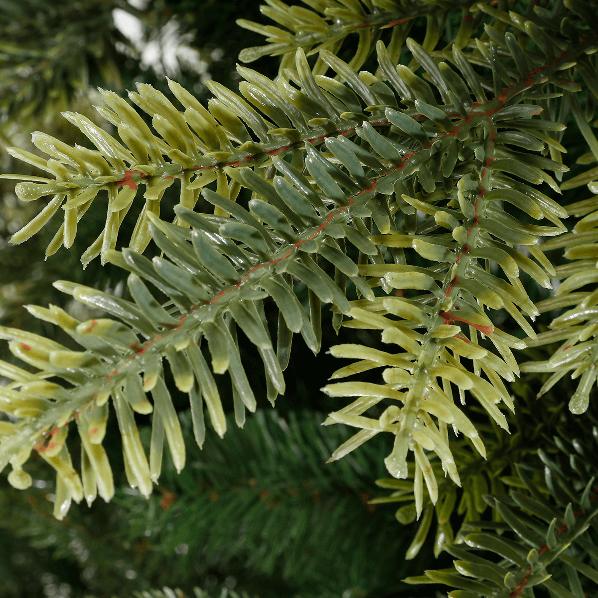 Artificial Christmas Tree Colorado - 2 Artificial Christmas Tree Colorado - 2