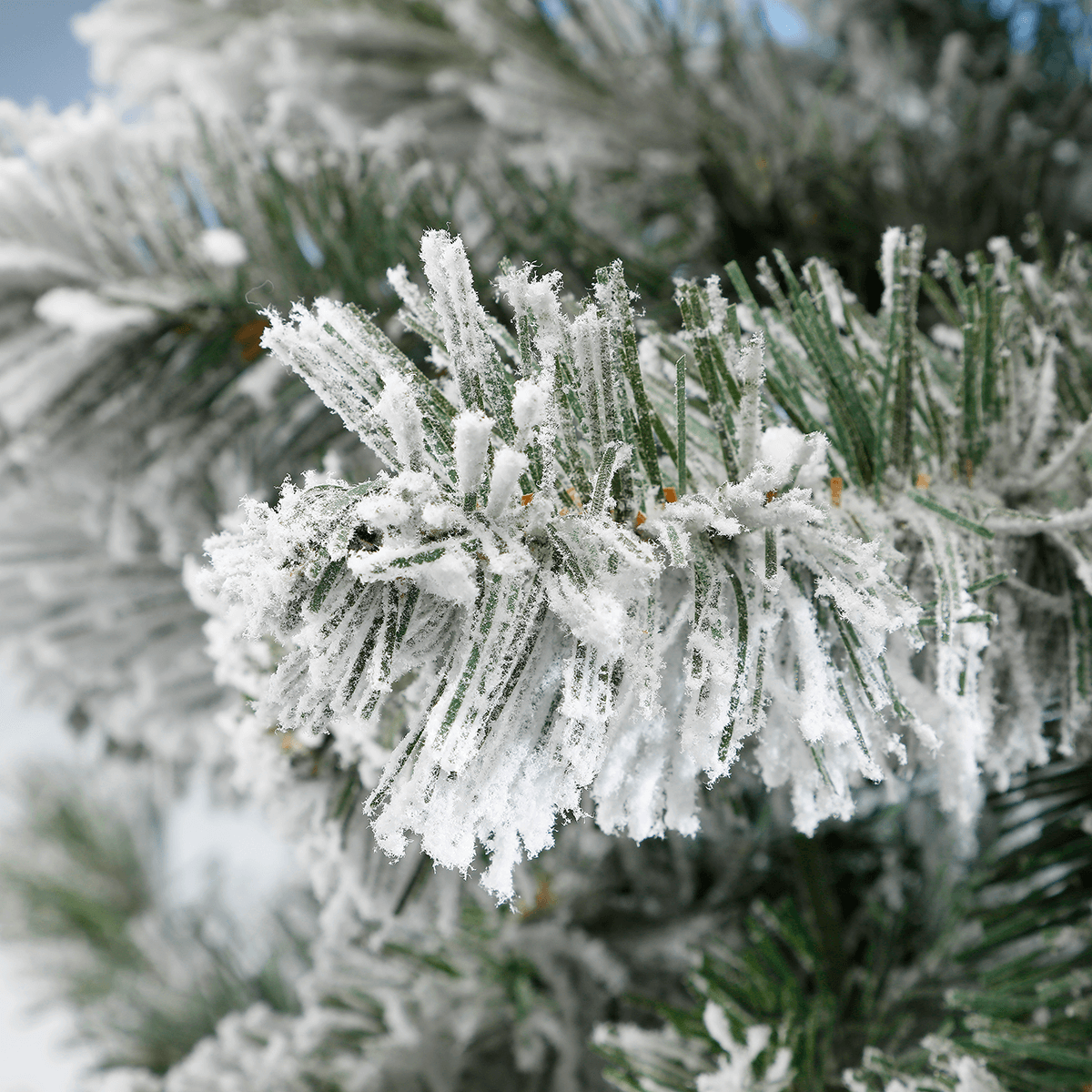 Narrow snow-covered artificial firs in different heights - 1 Narrow snow-covered artificial firs in different heights - 1