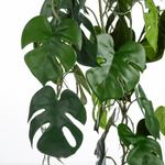 Artificial Monstera hanging plant in pot 106 cm - 1