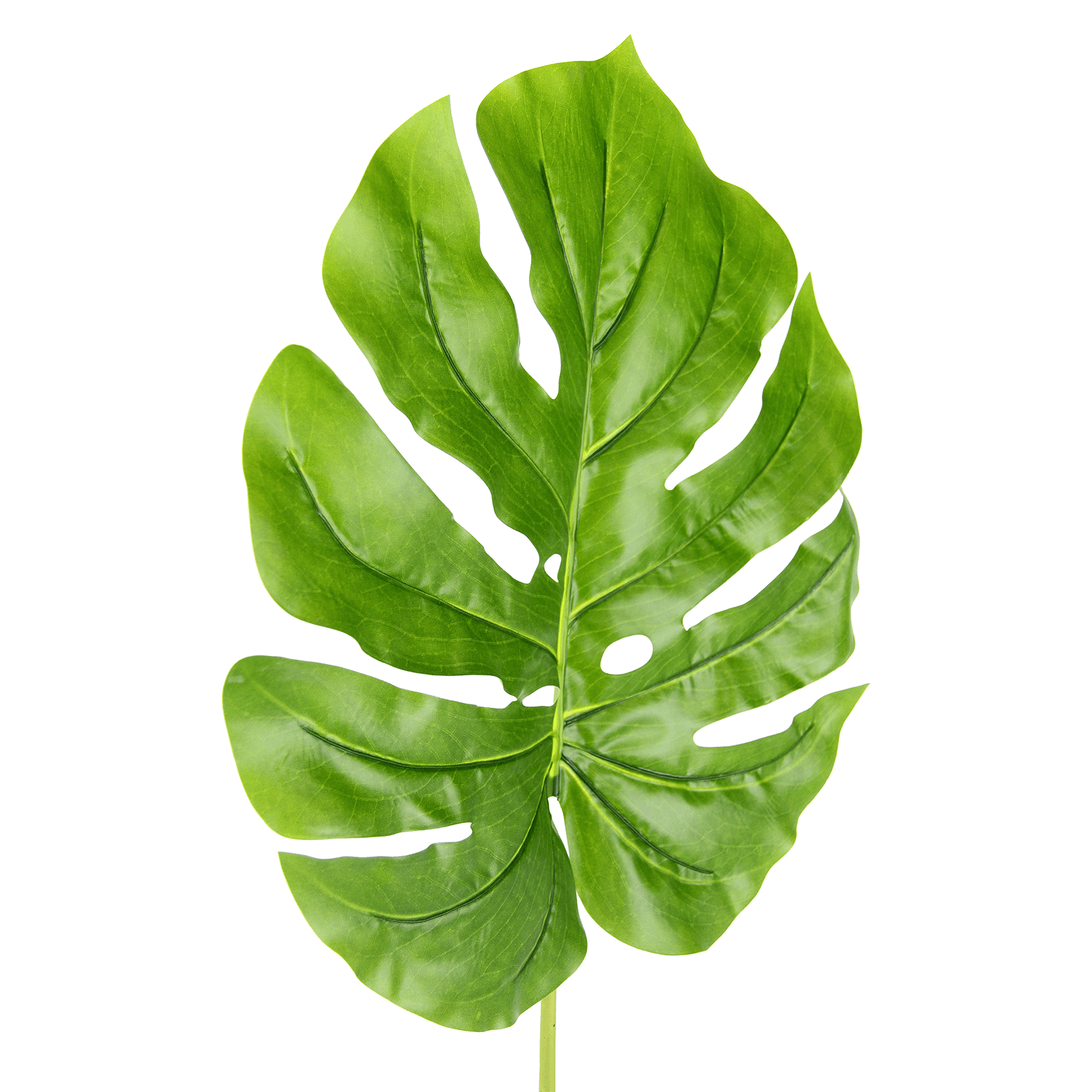 Artificial Deco Philo Leaf 43 x 95 x 103 cm green - 3 Artificial Deco Philo Leaf 43 x 95 x 103 cm green - 3
