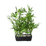 Ready Potted Bamboo Artificial Plant 47 cm  - 0