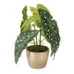 Plante artificielle bégonia truite 30 cm - 0