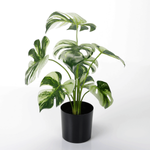 Künstliche Deko Monstera Topfpflanze Deliciosa Albo Variegata 37 cm - 0