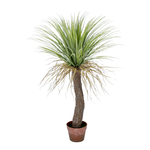 Künstliche Yucca Palme "wild" im Topf 110 cm - 0