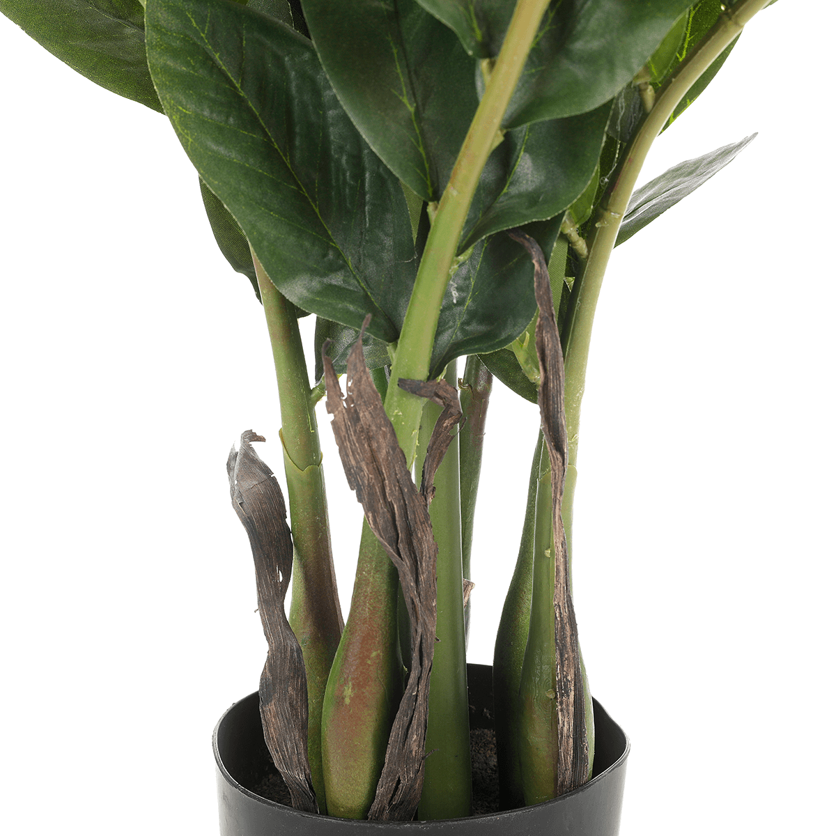 Plume porte-bonheur Zamioculcas Plante artificielle en pot, 70 cm - 2