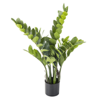 Plume porte-bonheur Zamioculcas Plante artificielle en pot, 70 cm - 0